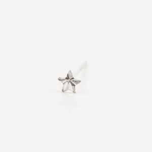 Earring Star Silver 925 (L34-412W)