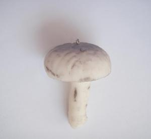 Mushroom Polymer Clay (4x2.5cm)