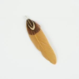 Indian Feather Brown 7cm