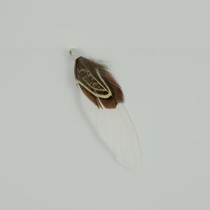Indian Feather White 7cm