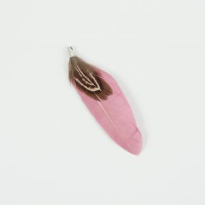 Indian Feather Pink 7cm