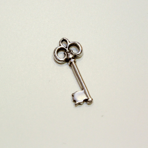 Metal Key (2.5x1cm)