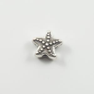Metalic Passed Starfish Silver