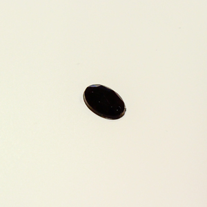 Κουμπί Στρας Μαύρο (1.6x1cm)