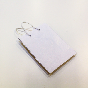 Σακουλάκι Συσκευασίας Λευκό (11x8cm)