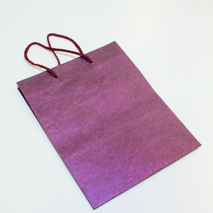 Packaging Bag (22.5x18cm)