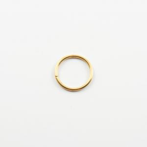 Titanium Hoop Gold 1cm