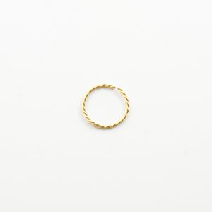 Silver Nose Hoop Gold Twisted