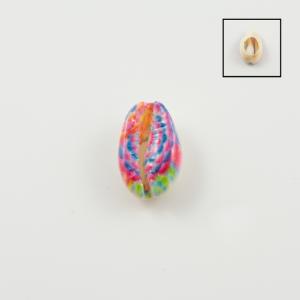 Φυσικό Κοχύλι Φούξια-Μπλε