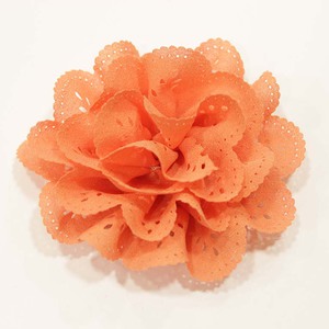 Flower Kippur Coral
