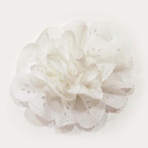 Λουλούδι Κηπούρ Λευκό