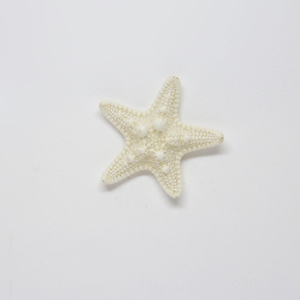 Natural Starfish White