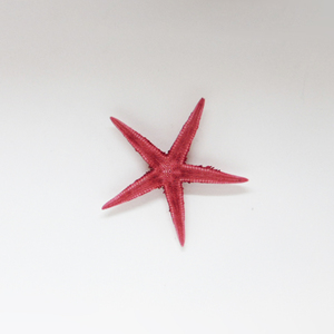 Natural Starfish Red