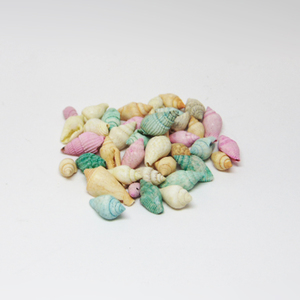 Shells Multicolored Pack (25gr)