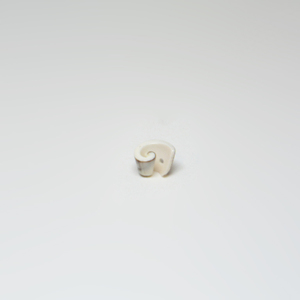 Twisted Shell (1x0.5cm)
