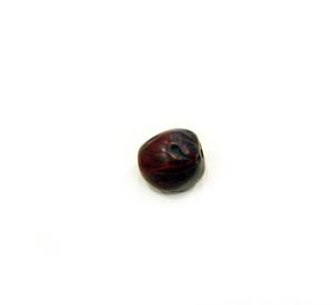 Burgundy Nutmeg Beads (1.5x1cm)