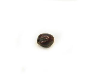 Χάντρα Μοσχοκάρυδο Καφέ (1x1cm)