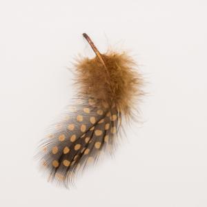 Feather Honey Dotted 2 pcs (9x3cm)