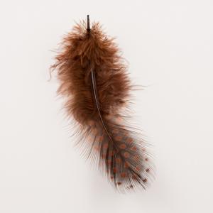 Feather Brown Dotted 2 pcs (9x3cm)