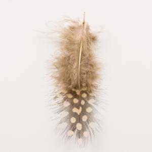 Feather Beige Dotted 2 pcs (9x3cm)