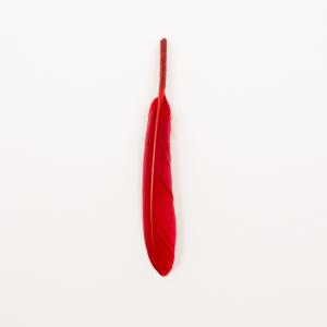 Feather Red (14x2cm)