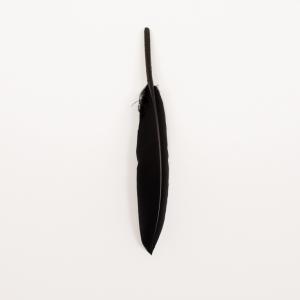 Feather Black (14x2cm)