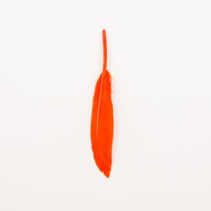 Feather Orange (14x2cm)