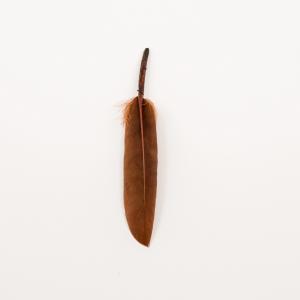 Feather Brown (14x2cm)