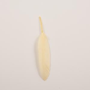 Φτερό Ιβουάρ (14x2cm)