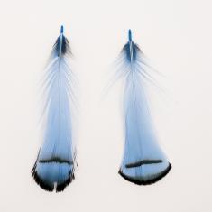 Διακοσμητικά Φτερά Γαλάζια 8.2x2.5cm