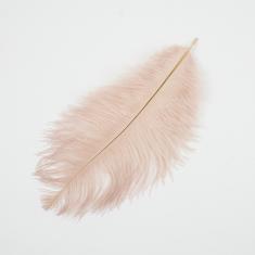 Feather Pink 21x11cm
