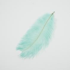 Feather Seafoam 21x11cm