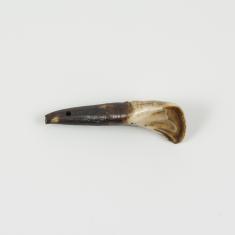 Real Horse Tooth 4.7x1.8cm