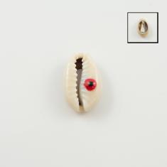 Decorative Shell Beige Eye Red